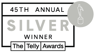 Pixelab Studios Wins Silver Telly at the 45th Annual Telly Awards - Non-Broadcast – Educational Institution